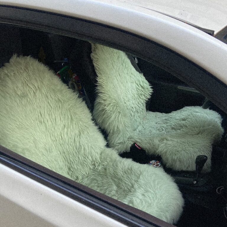 2025 08 backseat